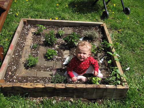 Nini in the Labyrinth herb garden
