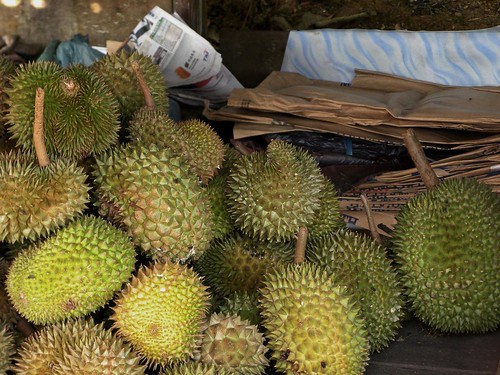 Pergh...lagi durian