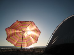 San Felipe: Beach Camping