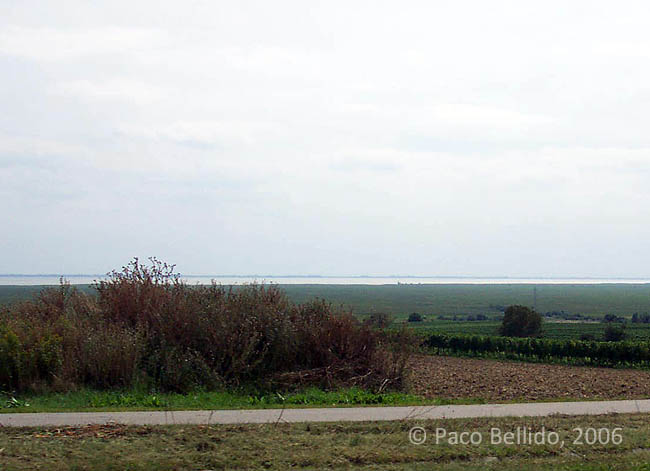 El lago visto desde la carretera. © Paco Bellido, 2006