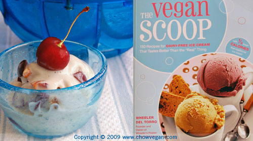 VeganMoFo: Cherry Jubilee Ice Cream From The Vegan Scoop