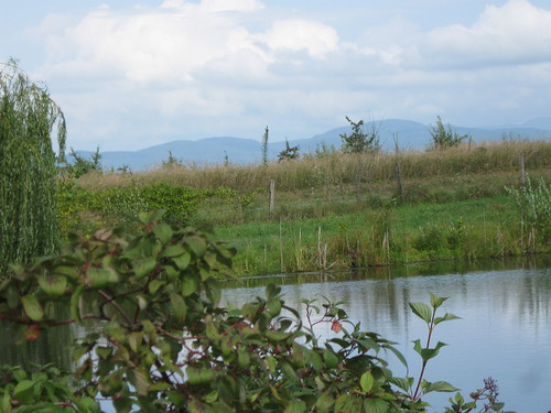 pond in foreground, mountains in the background