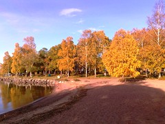 Fall at Lake Vänern in Sweden #3