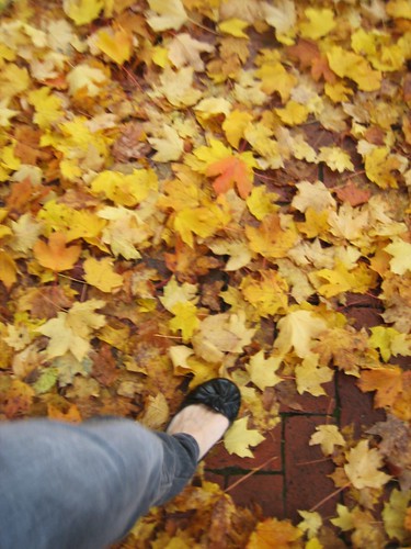 091023. self-portrait day. walking through the leaves.