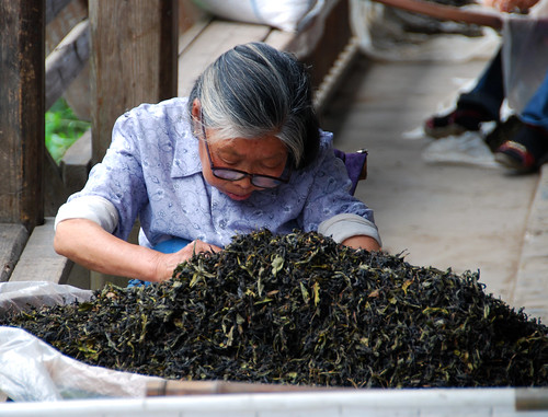 old lady sorting tea leaves, xiamei village