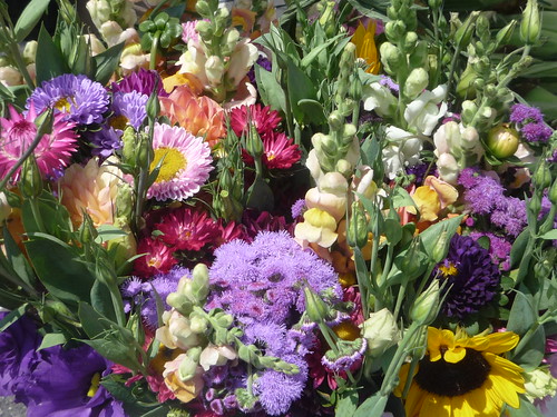 garden flowers farmers market