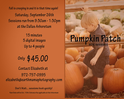 pumpkin_patch_09-2
