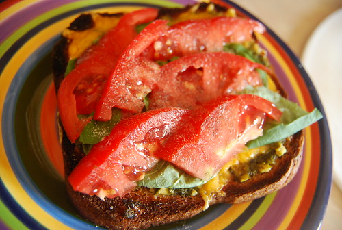Toast with pesto, cheddar, basil and tomato