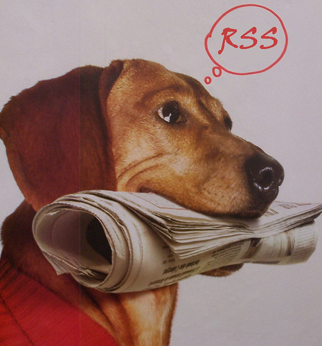 Newspaper dog thinking RSS