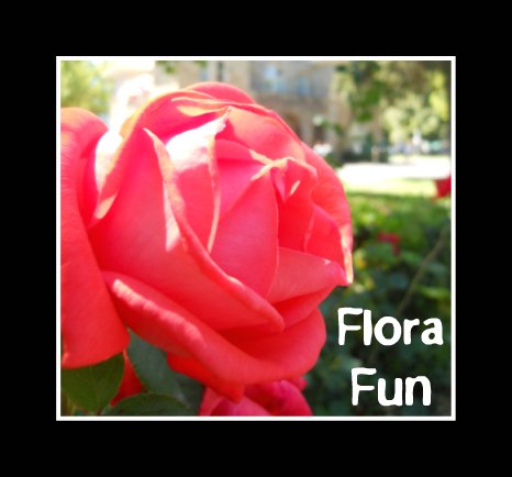 Flora Fun