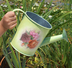 Watering can "Roses" 