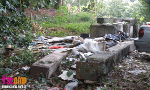 What a shame: Jurong forest treated as dumping ground