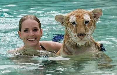 Swimming_with_Tigers_07