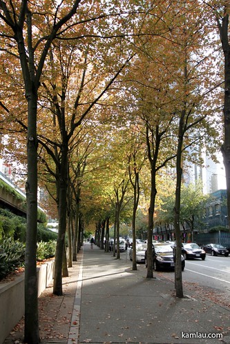 Downtown Vancouver in Fall by you.