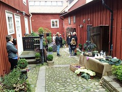 Gutenberg House back gardens in Mariestad #1