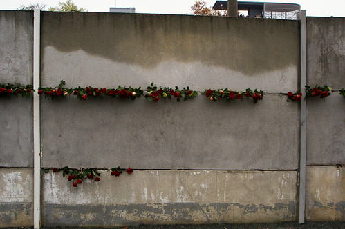 Roses in the Wall 5