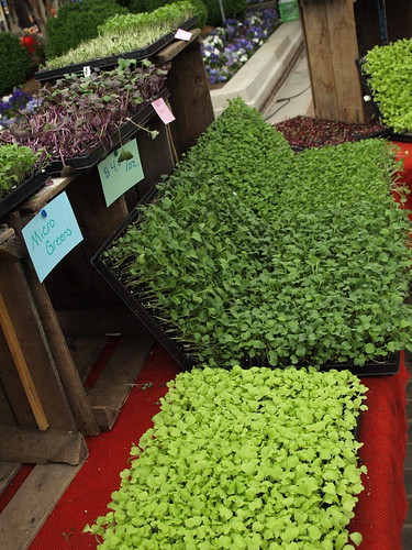 micro greens at market