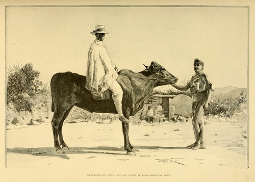 002-Buey usado como montura-Madagascar finales siglo XIX