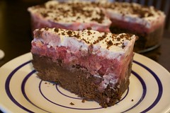 Raspberry Brownie Sorbet Cake