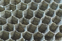 Can you call it honeycomb when it was built by wasps?