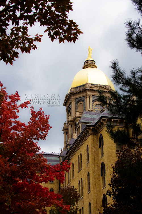 The golden dome wm