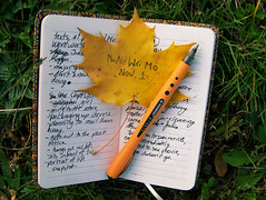 an orange leaf reading "NaNoWriMo Nov. 1" and an orange pen lie on top of a notebook which contains a lot of cursive writing