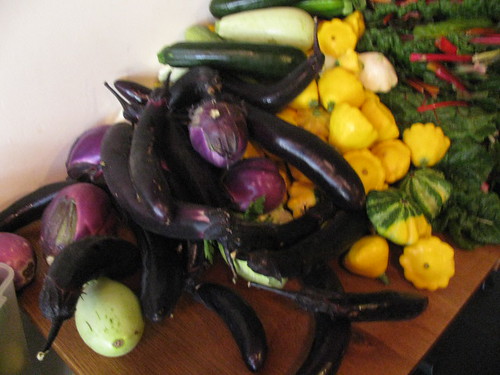 eggplant squash chard