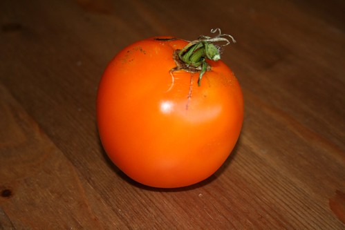 Moonglow Tomato