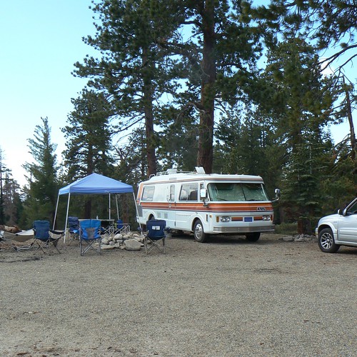 Our site at Sequoia National Forest