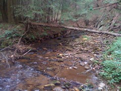  8 - Cane Creek