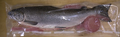 salmon sealed