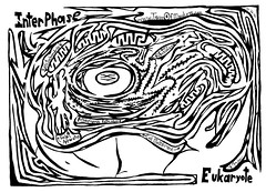 Maze Anatomy Eukaryotic Cell yfrimer 2006 Ink on Paper