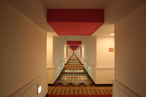 Hallway at the Flamingo Hotel