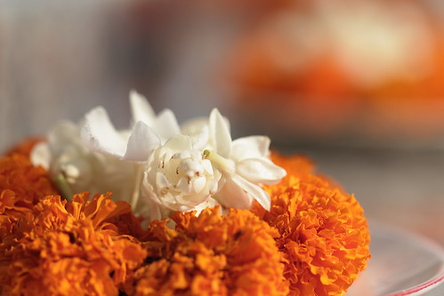 Aamar Pujar Phul [  A prayer Flower form Buddha Purnima , Buddhist Temple , Budda, DHAKA,  ] by ** 5 9 5 0 3 6 **