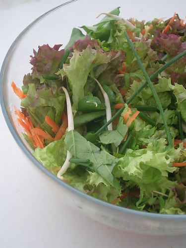Soya Filizli Karışık Salata