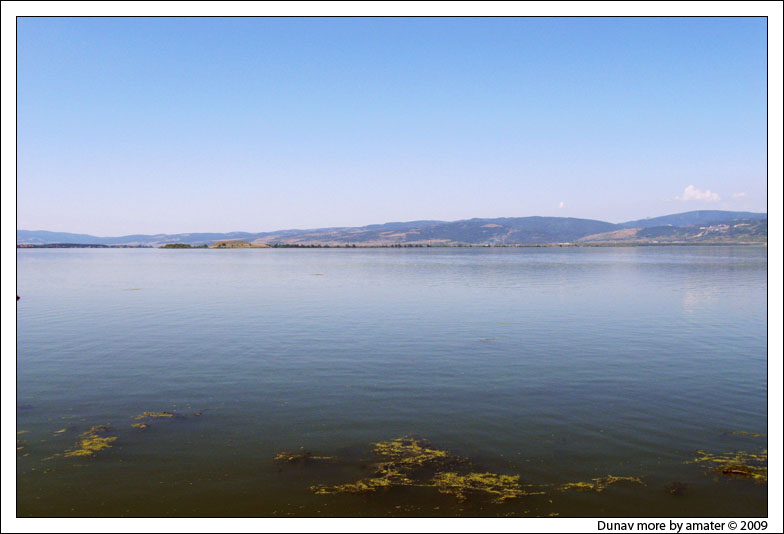 Dunav more
