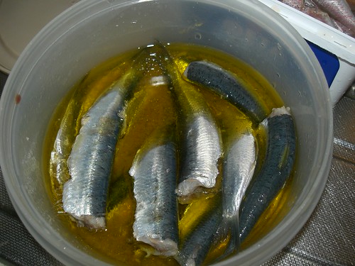 raw sardines in vinegar