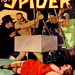 Spider-3704