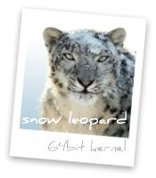 snowleopard64bitkernel