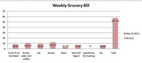 Grocery Bill May 15 2011