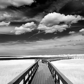 Fire Island Infrared at Watch Hill