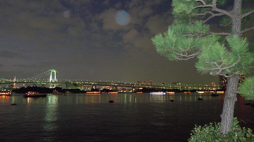 Watching Tokyo at night from Odaiba