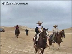 Peruvian Paso horses set off on journey to Lima