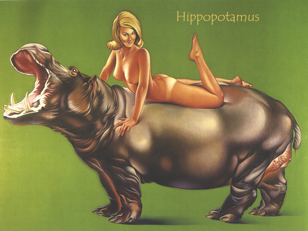 1967_Hippopotamus