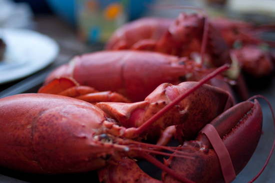 lobster dinner 1