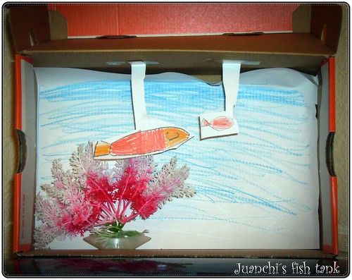 Juanchi´s fish tank