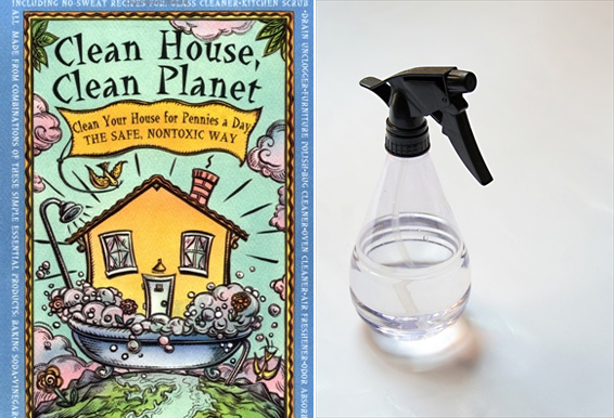 Smock Eco Reads - Clean House, Clean Planet