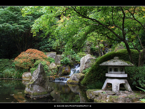 The Waterfall at Portland Japanese Garden 2 by David Gn Photography