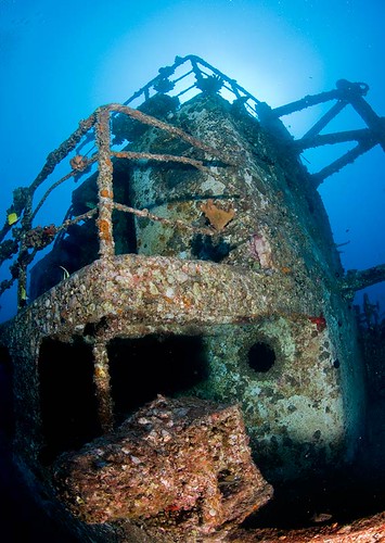Sea Tiger Wreck
