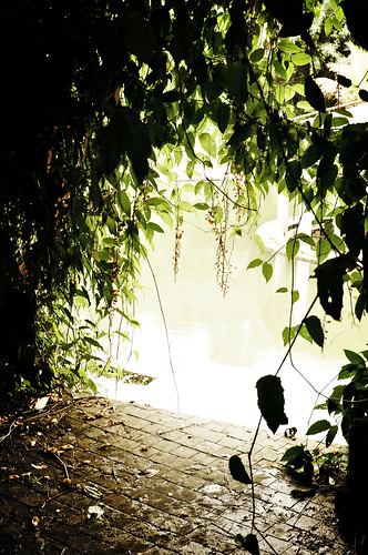 Villa Kota Gardenia: Overgrown Archway Entrance to Pool